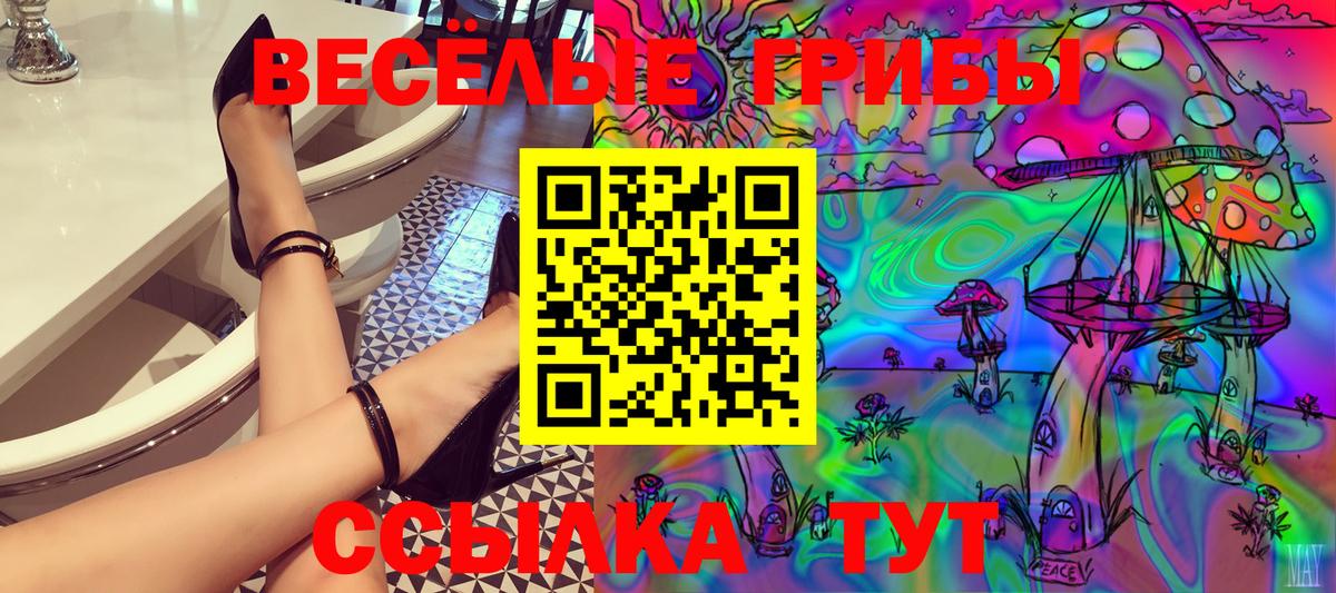 Чебаркуль  Псилоцибиновые грибы MAGIC MUSHROOMS  где купить   Вход с VPN 