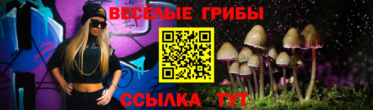 Галлюциногенные грибы GOLDEN TEACHER Чебаркуль